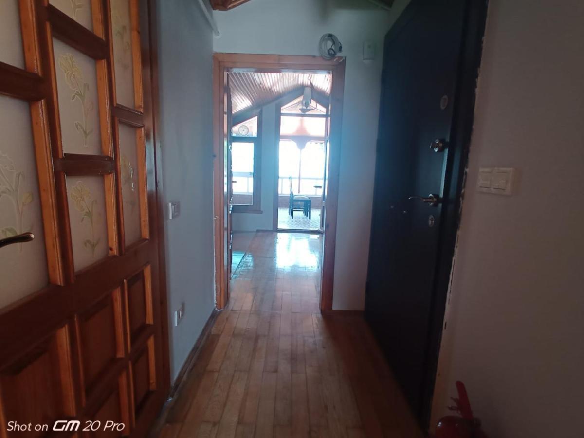 Buyukada Cinar Hotel (Adults Only) Adalar Extérieur photo